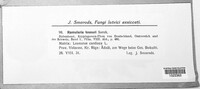 Image Associated With the Occurence